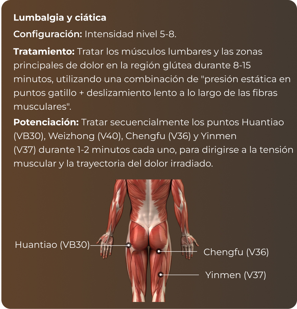 Referencia de puntos de acupuntura de la cadera