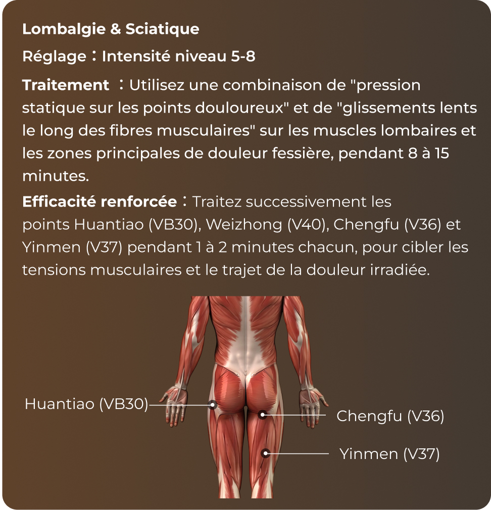 Référence des points d'acupuncture de la hanche