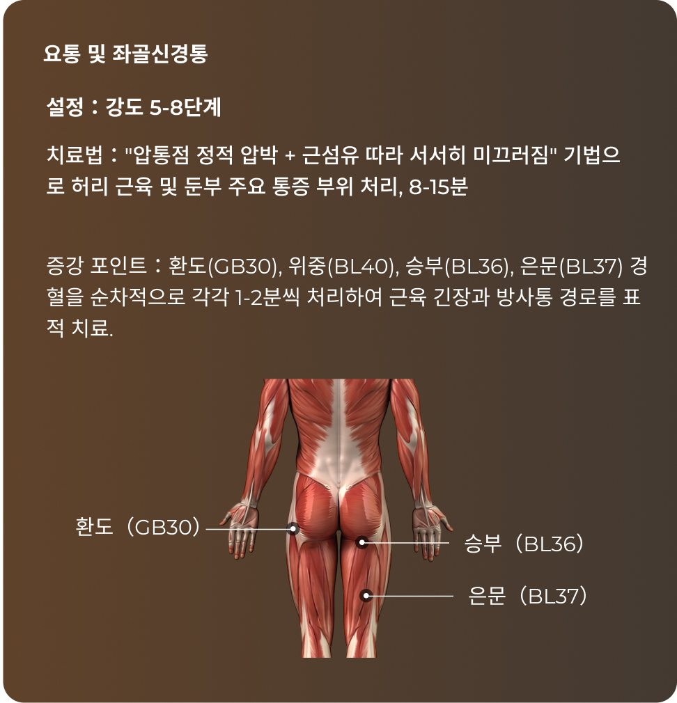 엉덩이 혈자리 참고